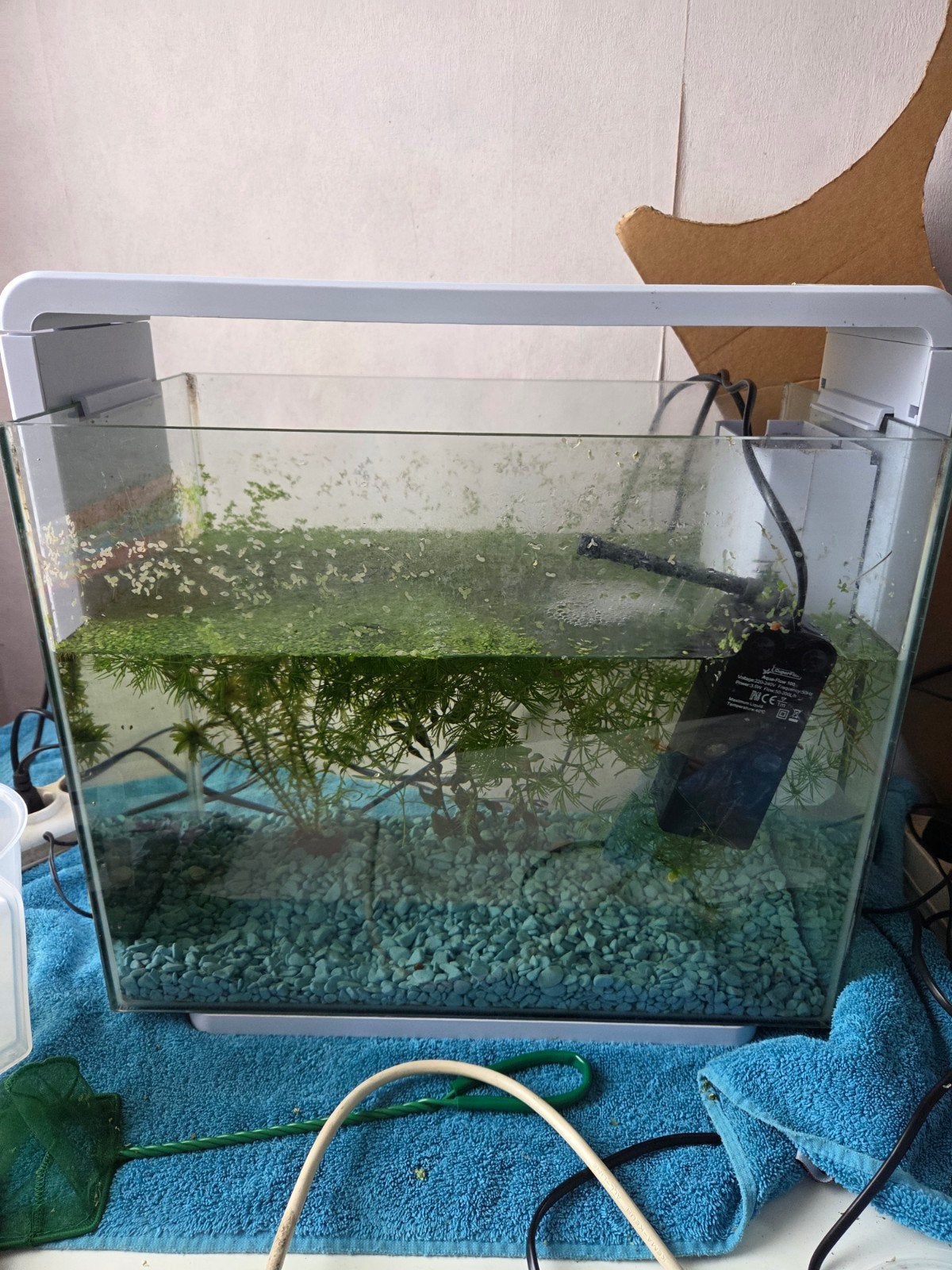 Ingedraaid aquarium superfish home 40, Ophalen, Inclusief toebehoren, Gebruikt, Gevuld zoetwateraquarium