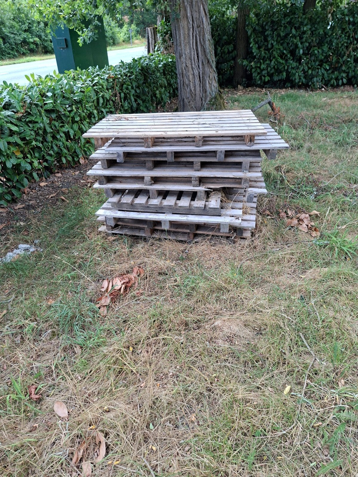 Gratis pallets, Ophalen, Overige houtsoorten, Minder dan 200 cm, Pallet