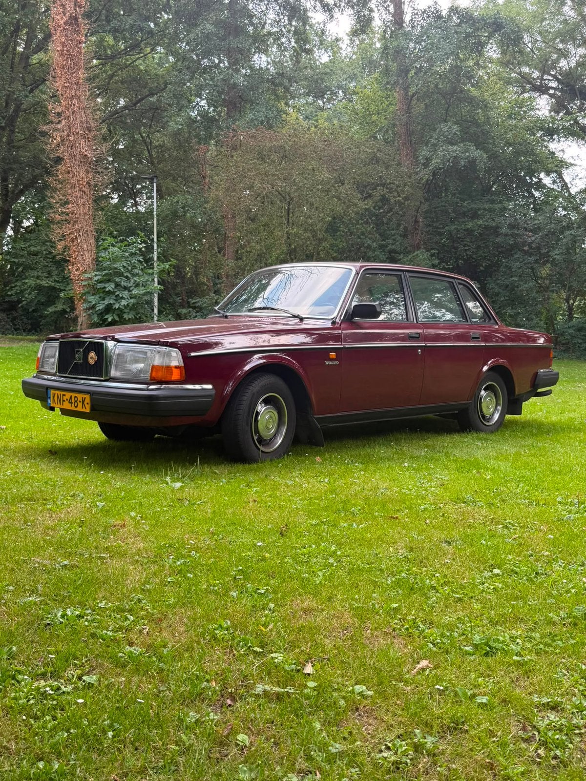 Volvo 244 diesel 1984 bordeaux Rood belastingvrij, foto 2