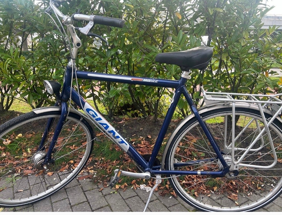 Giant damesfiets - Goed onderhouden, Ophalen, Zo goed als nieuw, Giant