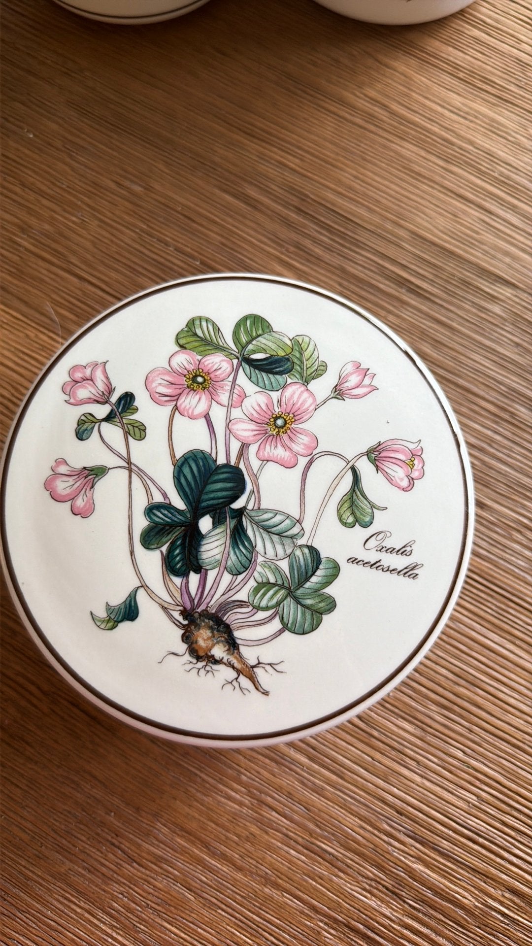 Villeroy & Boch botanica doosje met deksel, Ophalen of Verzenden