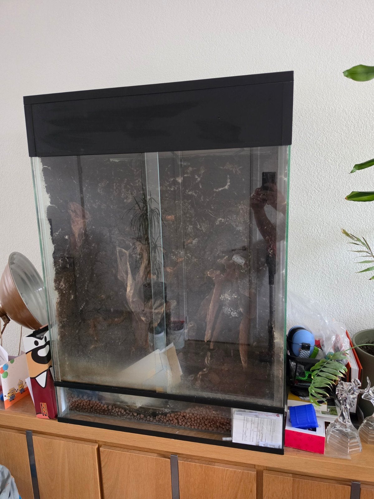 Groot paludarium, 80b x 113h x 50d, Ophalen, Zo goed als nieuw, Terrarium of Paludarium