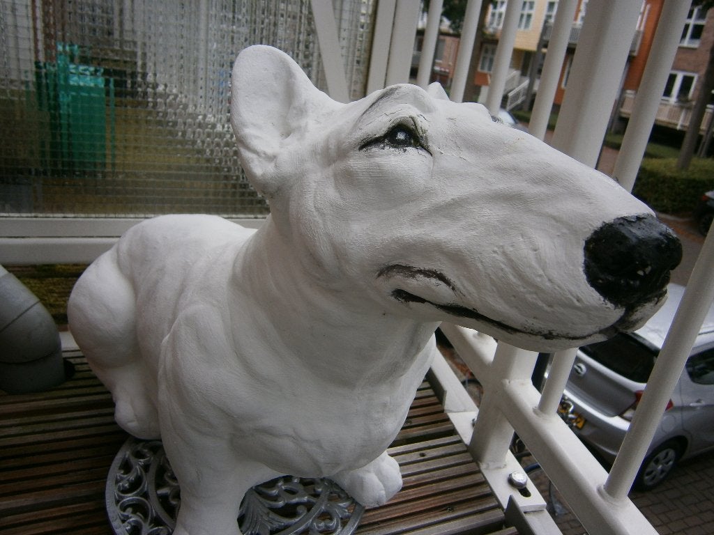 Tuinbeeld hond, Ophalen, Zo goed als nieuw, Beton, Overige typen