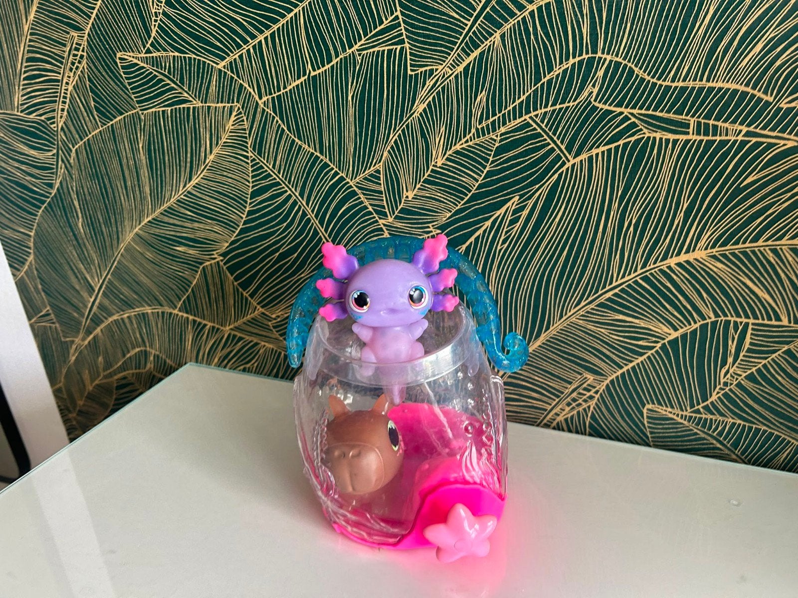 Axolotl en capibara, Ophalen of Verzenden, Zo goed als nieuw, Jongen of Meisje