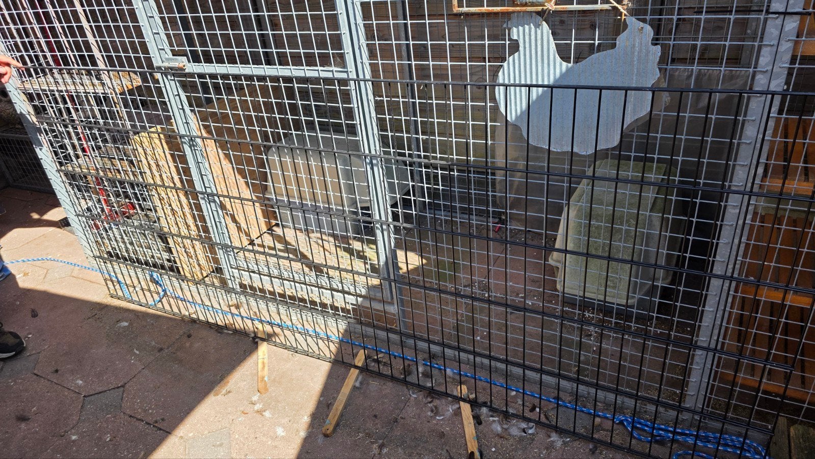 Dubbelstaafsmat hekwerk 6/5/6 zwart 250x100, Ophalen, Nieuw, IJzer
