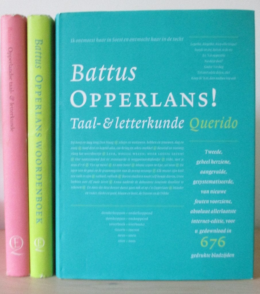 Opperlandse Taal- en Letterkunde (3 delen) (Brandt Corstius), Ophalen of Verzenden, Zo goed als nieuw, H. Brandt Corstius