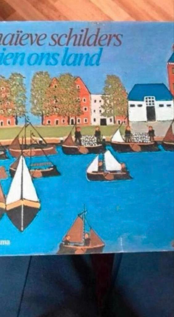 Naïeve Schilders in Ons Land - Kunstboek, Ophalen of Verzenden, Gelezen, Overige onderwerpen