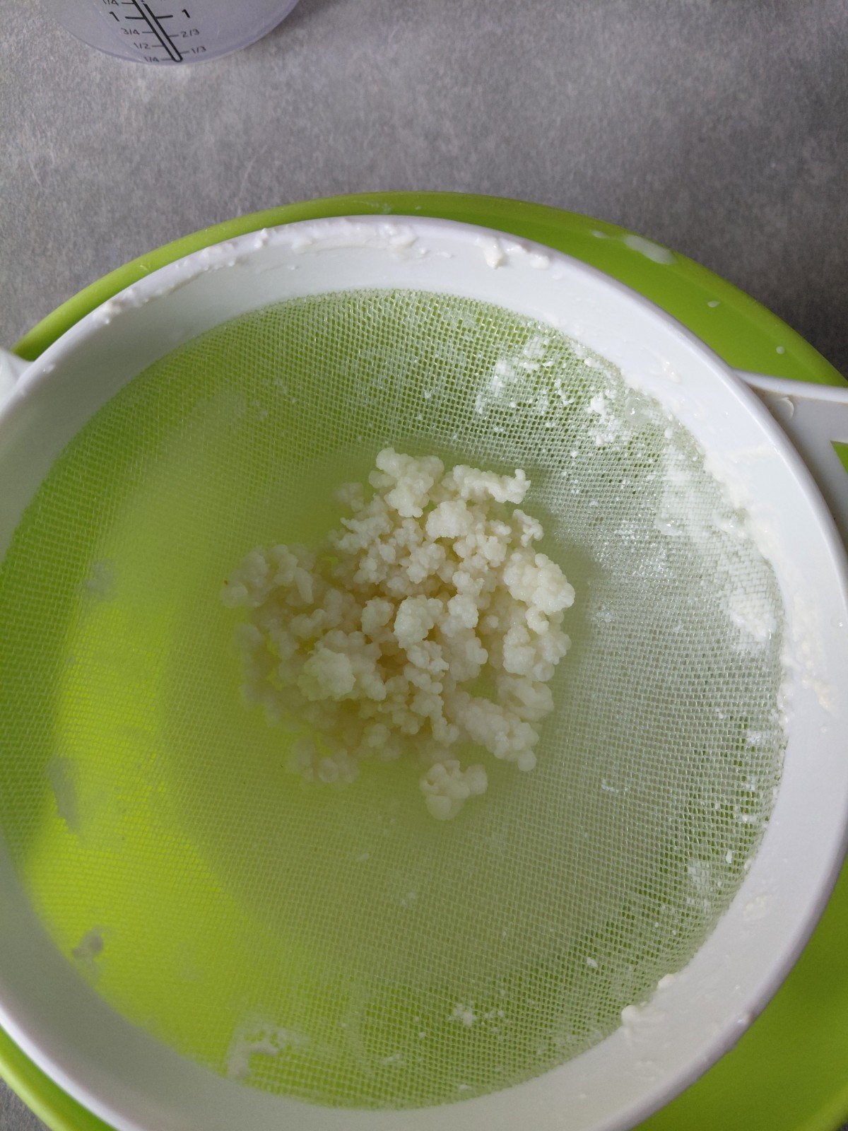kefir melkkefir cultuur, Ophalen of Verzenden