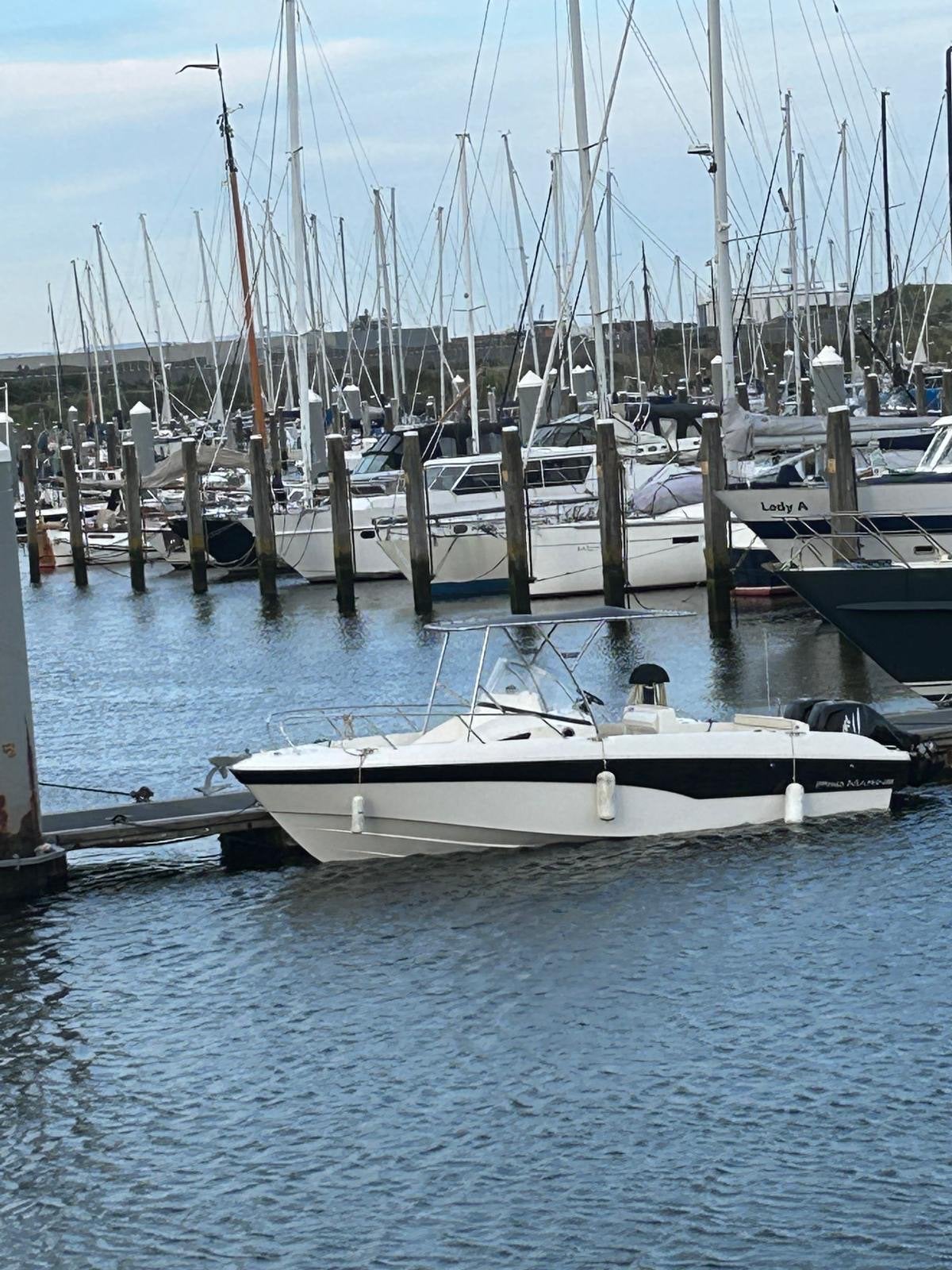 Promarine Belone 740 Sundeck - Krachtige Buitenboordmotor, Benzine, Overige merken, Gebruikt, Kajuitboot