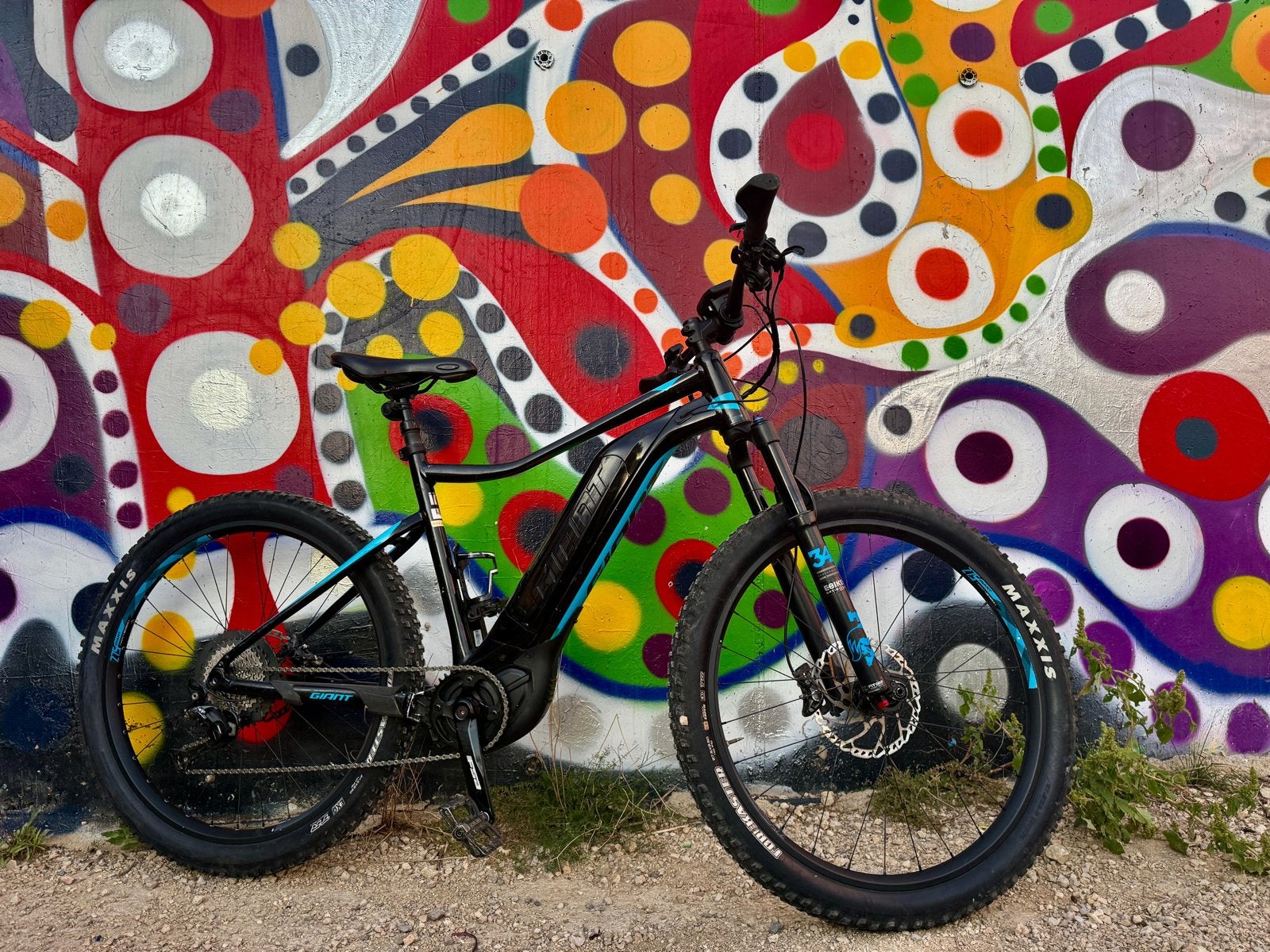Giant Dirt E+ Pro E-Mountainbike, Ophalen, Gebruikt, Giant, Giant