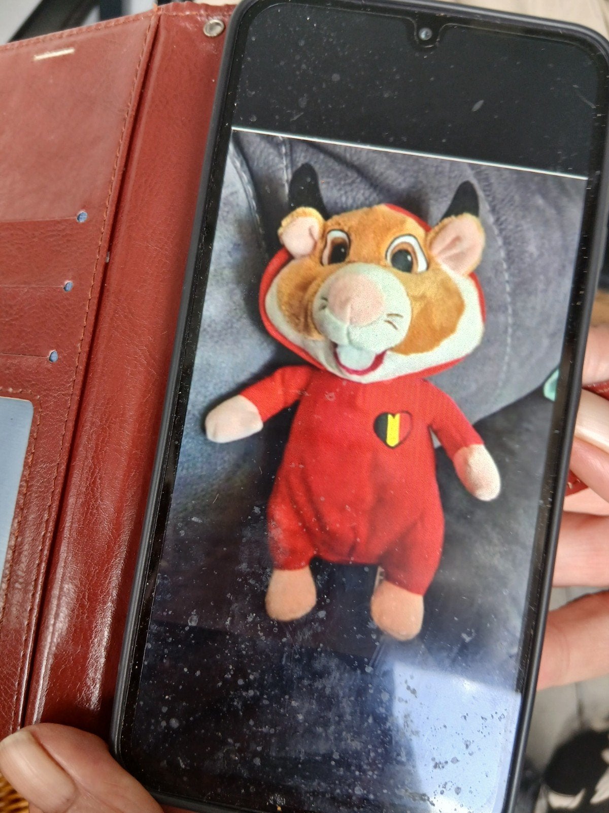 Hamster gezocht, Ophalen, Zo goed als nieuw, Stoffen beer, Overige merken