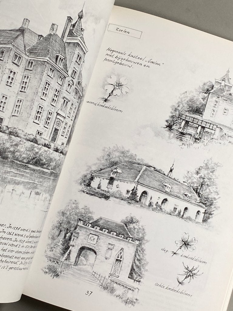 De Betuwe, land tussen rivieren (1992), Ophalen of Verzenden, 20e eeuw of later, Zo goed als nieuw