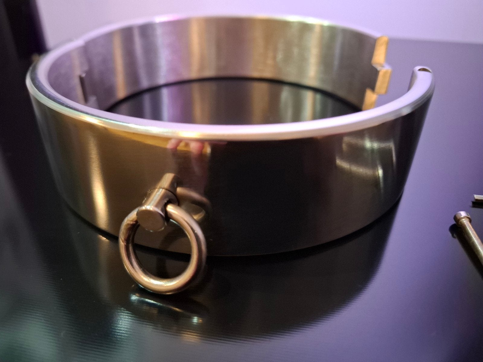 RVS Collar - Halsboei (NIEUW), Verzamelen, Ophalen of Verzenden, Landmacht, Nederland, Overige typen