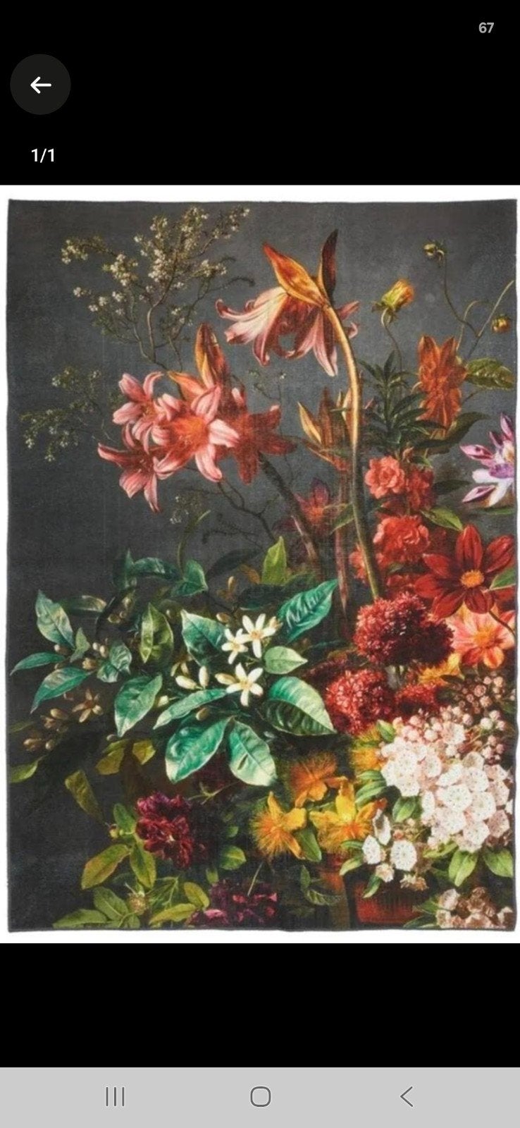 GEZOCHT: bloemenvloerkleed/ Kwantum/ Onia/ 290x200, Ophalen of Verzenden, Zo goed als nieuw