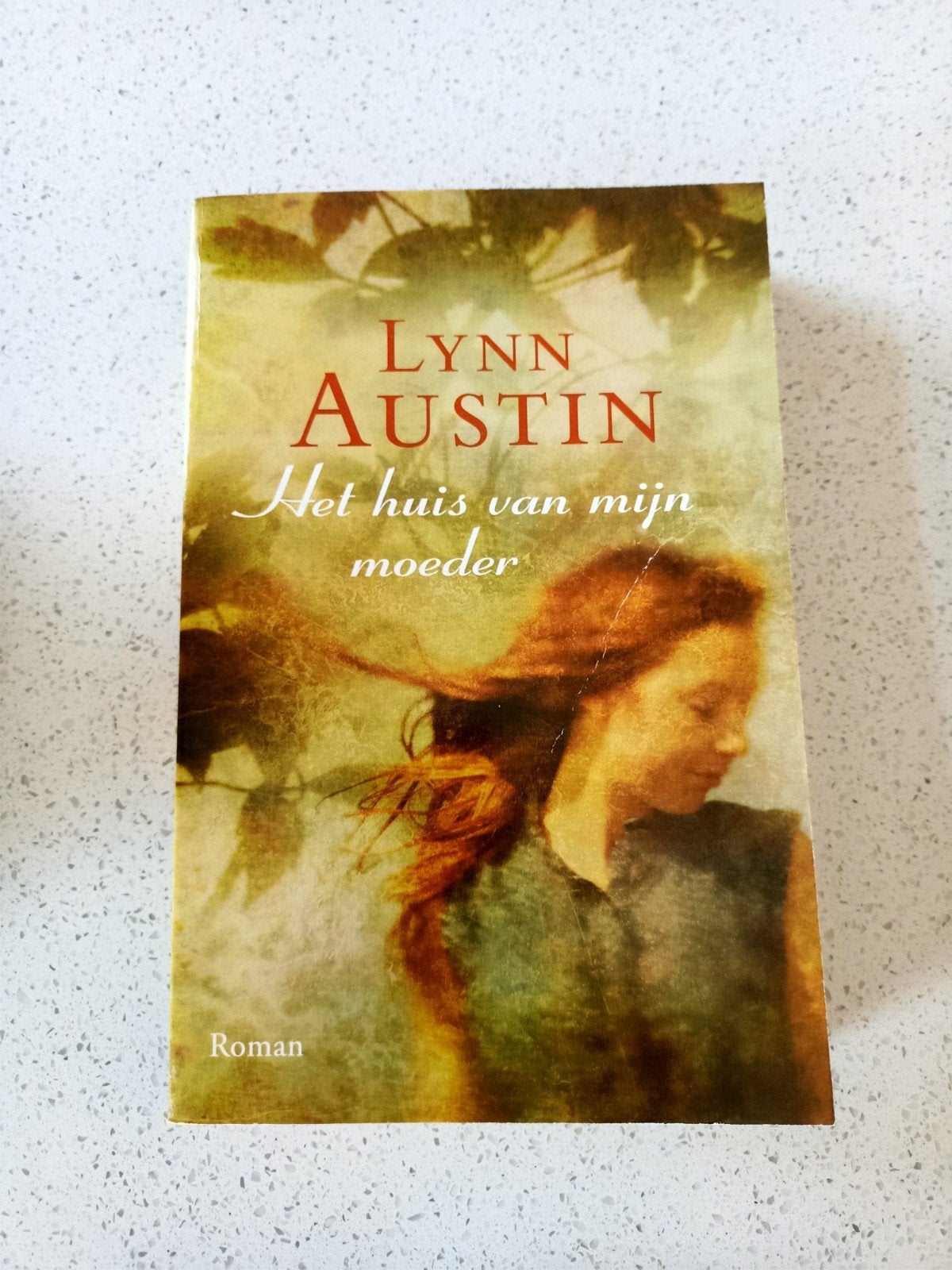 Het huis van mijn moeder - Lynn Austin (Roman), Ophalen of Verzenden, Gelezen, Lynn Austin, Nederland