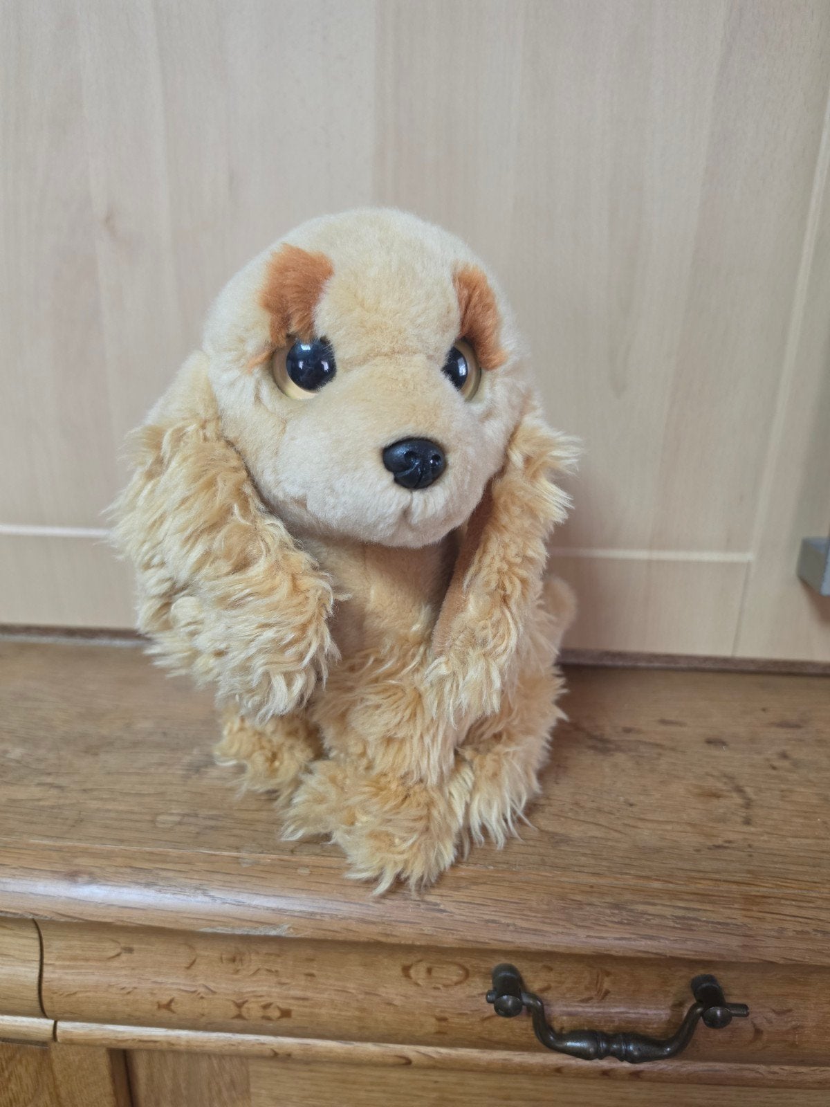 Grote collectie van 21 diverse knuffels, Ophalen, Disney, Zo goed als nieuw, Bruin