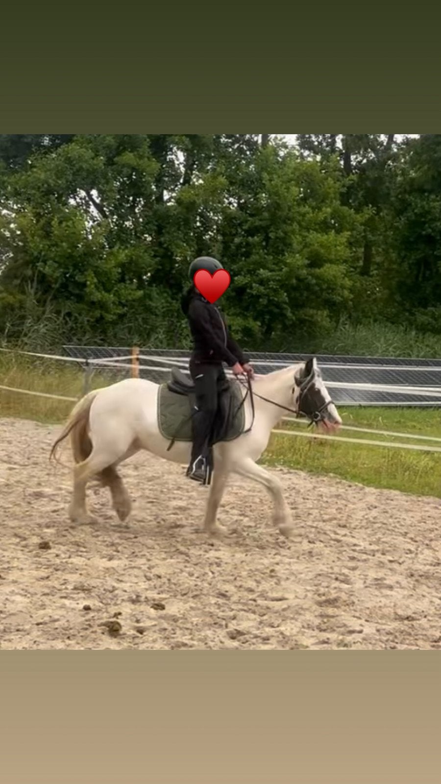 Lieve kinderpony, Dieren en Toebehoren, Ruin