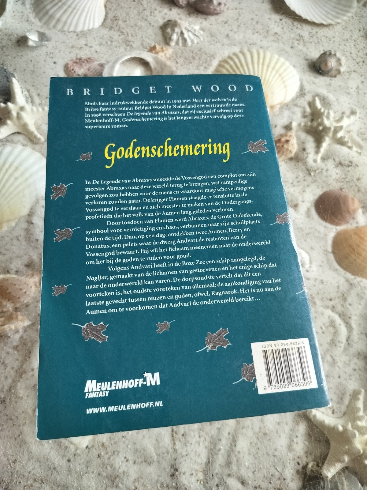Bridget Wood - Godenschemering, Boeken, Gelezen, Ophalen of Verzenden, B. Wood