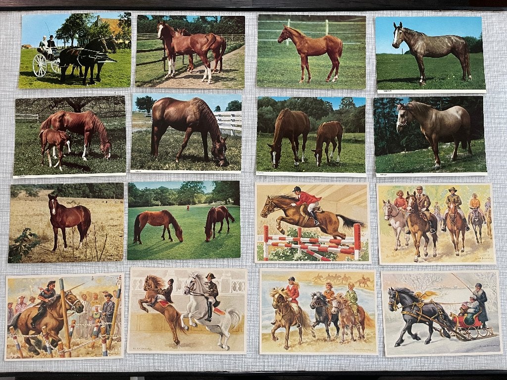 C977 Verzameling oude ansichtkaarten met thema paarden, Ophalen of Verzenden, 1960 tot 1980, Ongelopen, Overige thema's