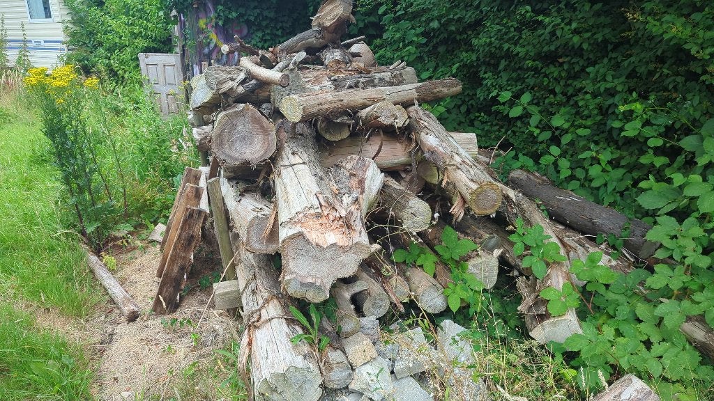Boomstammen / brandhout, 3 tot 6 m³, Ophalen, Beukenhout