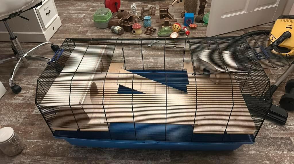 Hamsterkooi met toebehoren, Dieren en Toebehoren, Knaagdieren en Konijnen | Hokken en Kooien, Kooi, Minder dan 75 cm, Zo goed als nieuw