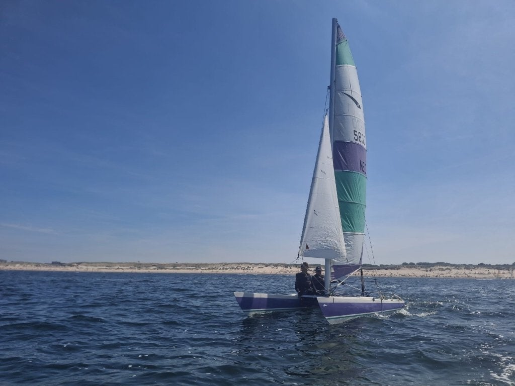 Gezocht Dart 18 gekleurd grootzeil, Watersport en Boten, Zeilen en Zeiltoebehoren, Ophalen, Gebruikt, Grootzeil, Minder dan 15 m²