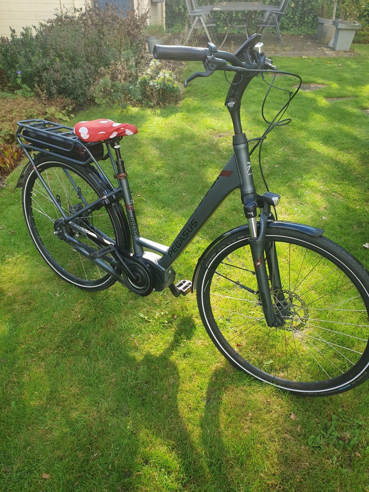 Pegasus e- bike Opero automaat, Ophalen, Overige merken