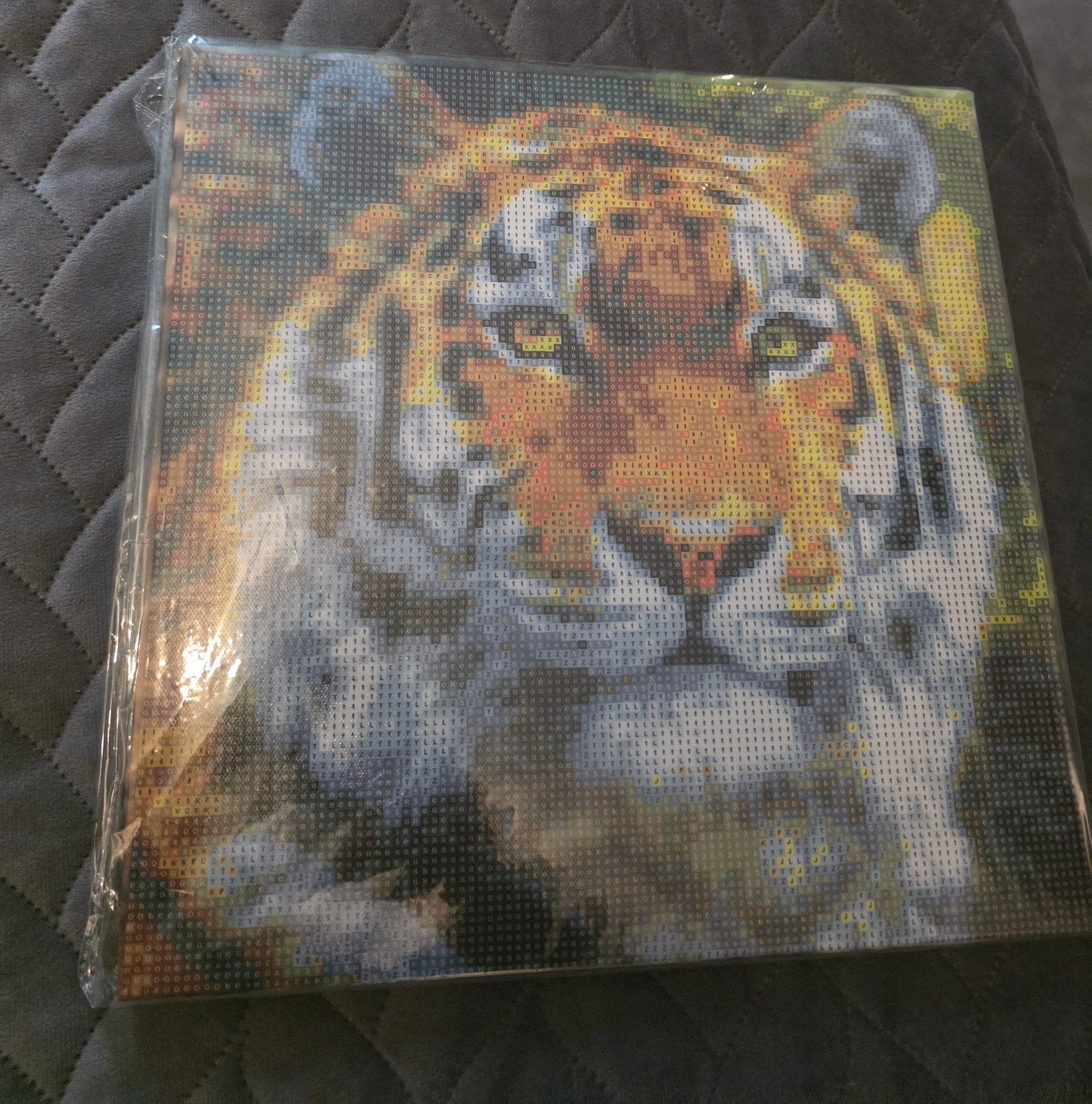 Diamond Painting Tijger - Compleet Pakket, Hobby en Vrije tijd, Nieuw, Meerkleurig, Ophalen of Verzenden, Kunststof