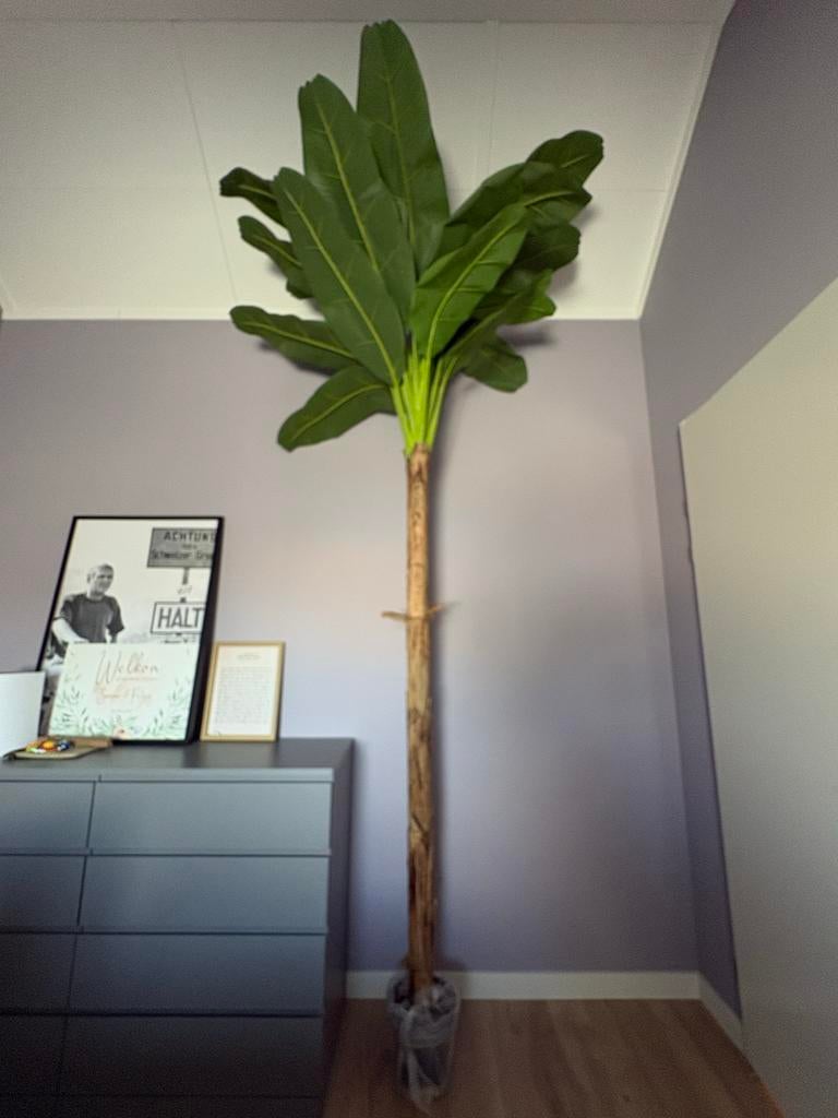 Grote Kunst Bananenplant 330 cm als nieuw van Sklum, Ophalen, Binnen, Groen, Kunstplant