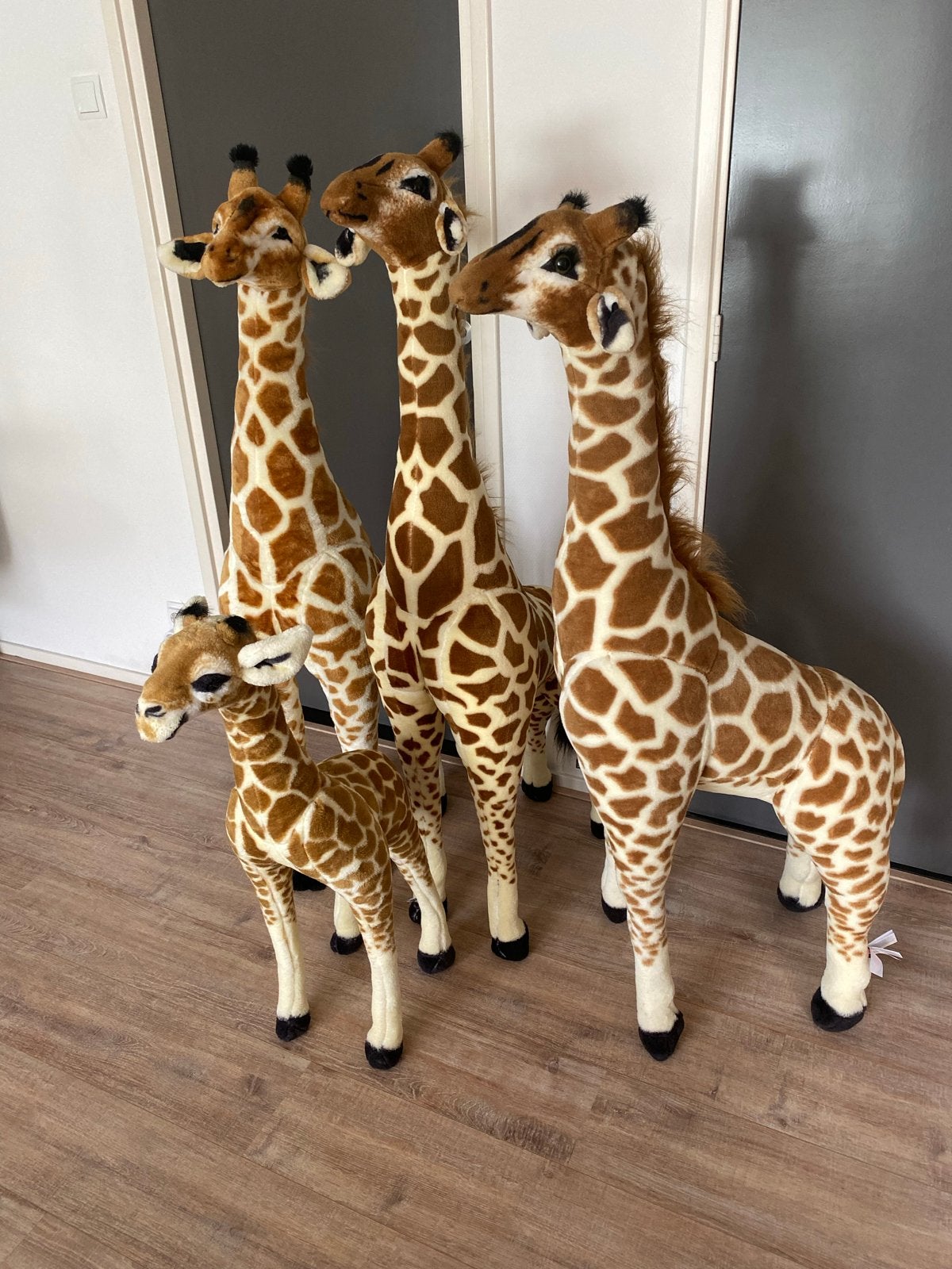 Giraffen knuffels te huur - Perfect voor elk feest!, Giraf, Ophalen of Verzenden, Zo goed als nieuw, Bruin