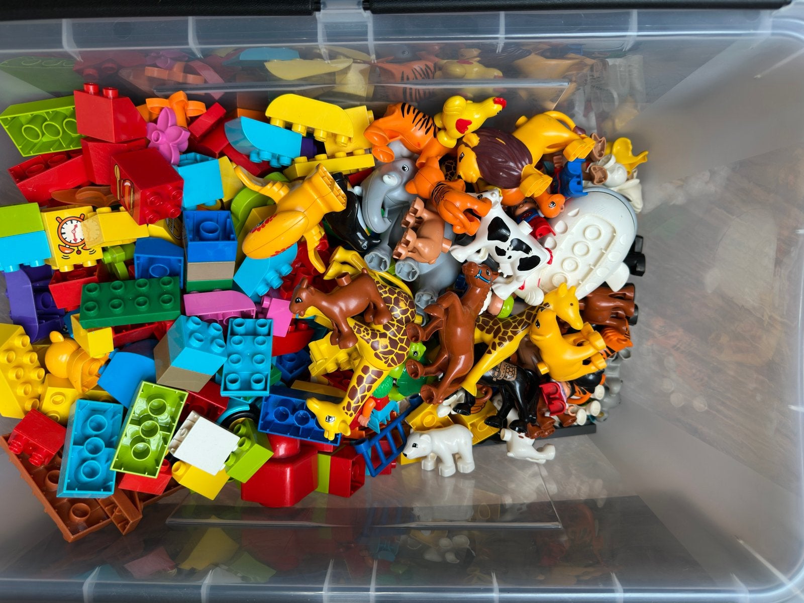 Foto 7 van Duplo