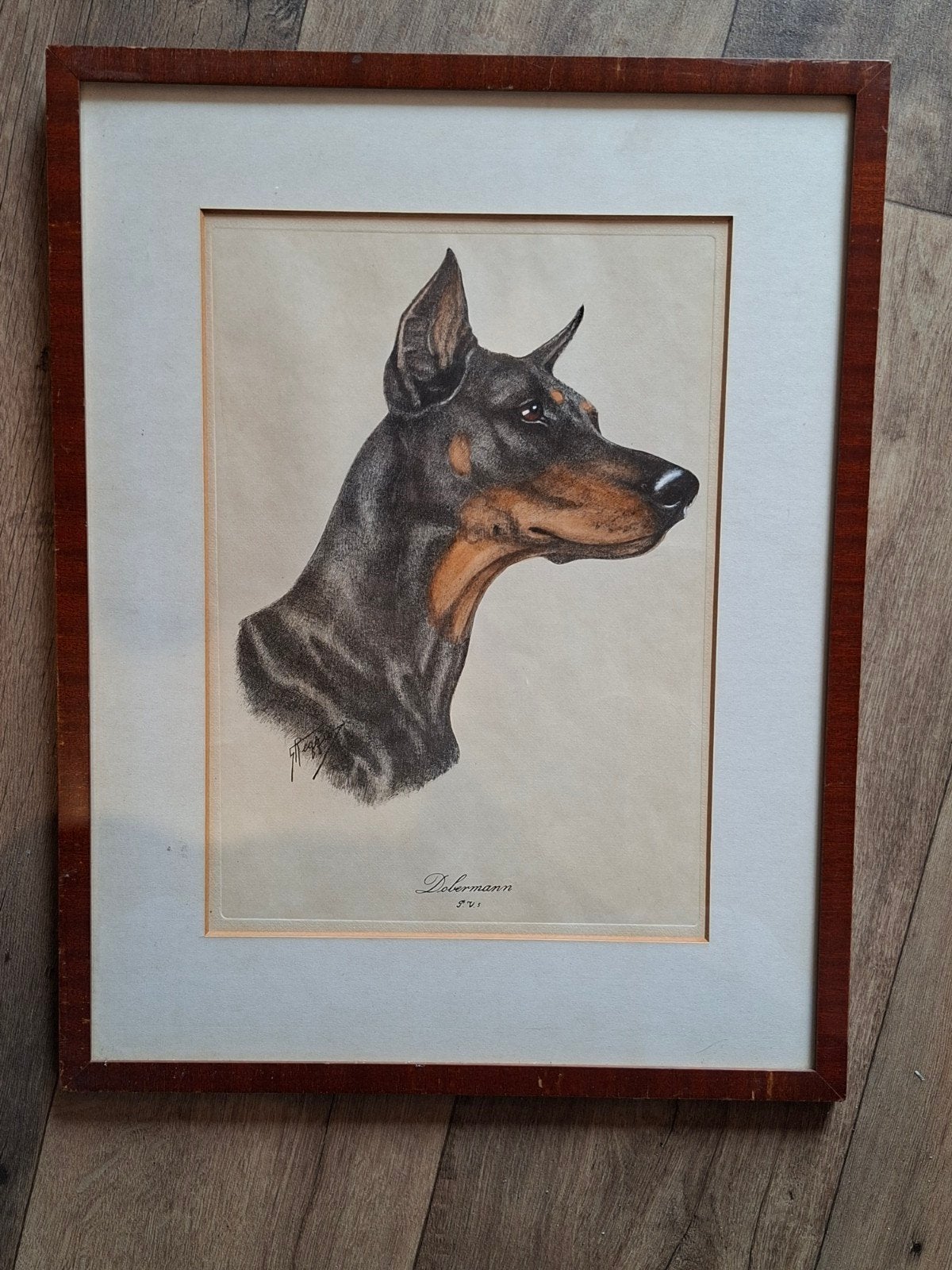 Vintage Dobermann Tekening - Gesigneerd en Ingelijst, Ophalen of Verzenden, Tekening, Potloodtekening, Gesigneerd