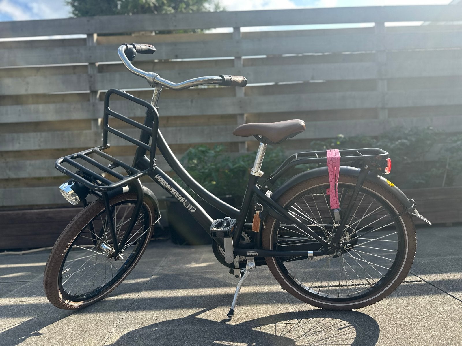 Loekie PickUp meisjesfiets 20 inch, Ophalen, Gebruikt, 20 inch of meer