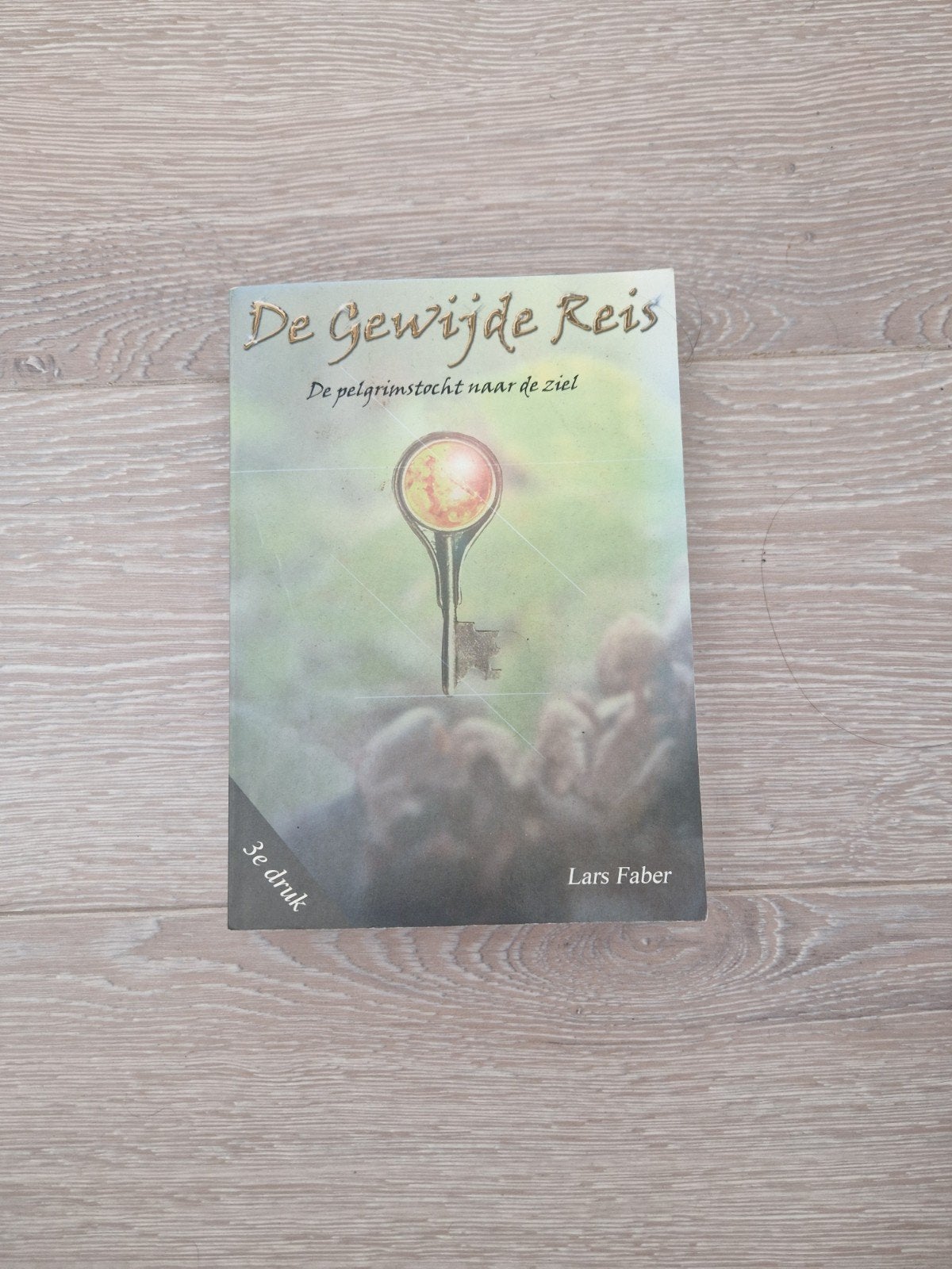 De Gewijde Reis: De pelgrimstocht naar de ziel - Lars Faber, Gelezen, Achtergrond en Informatie, Spiritualiteit algemeen, Ophalen of Verzenden