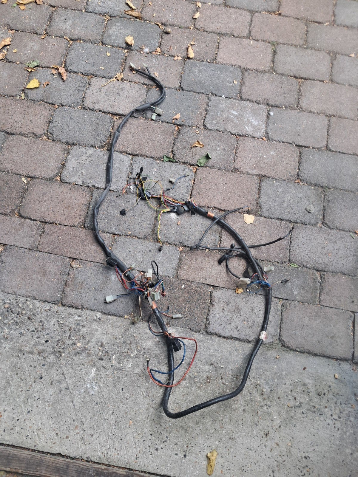 sr 2000 kabelboom, Ophalen of Verzenden