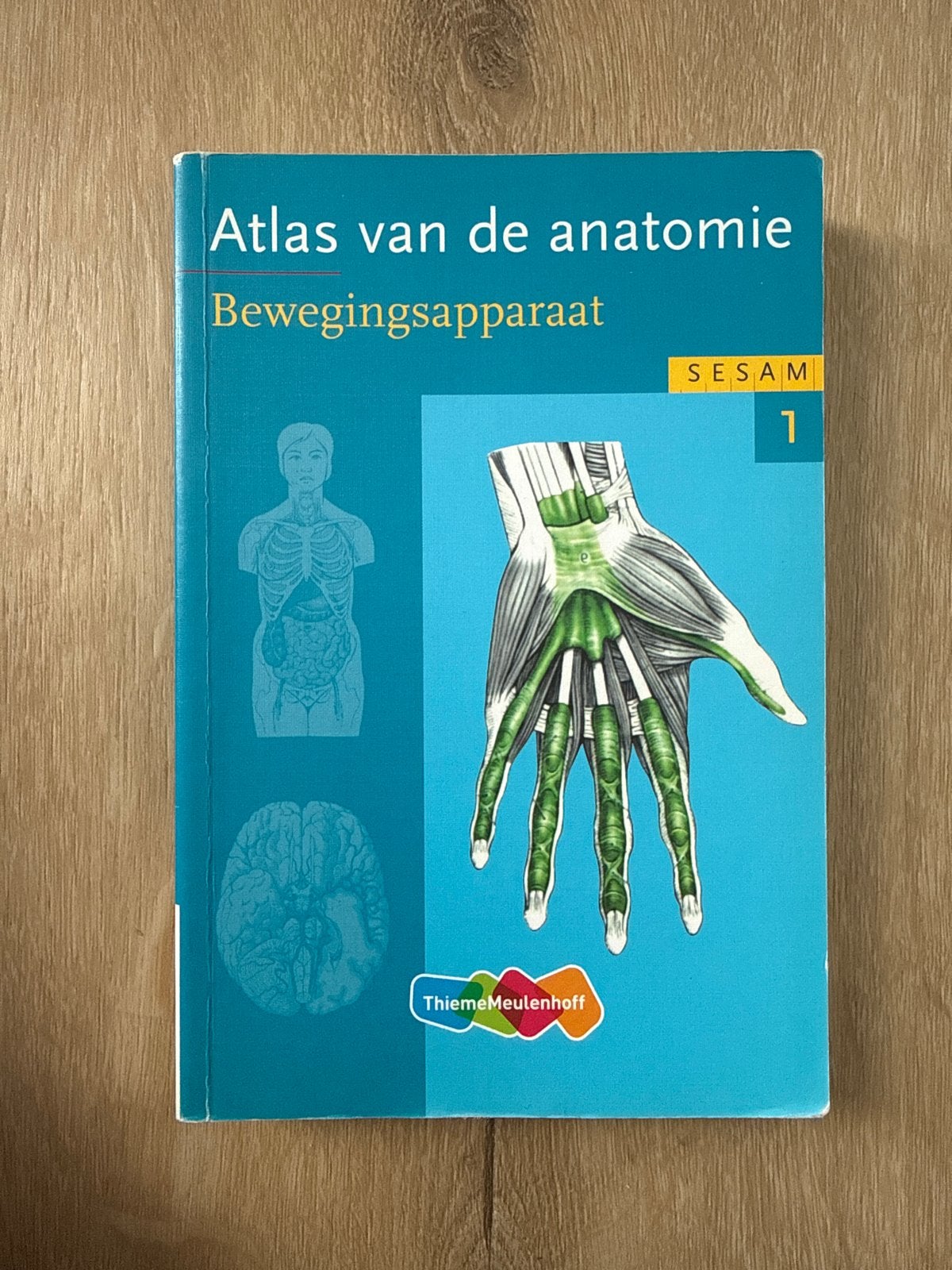 Atlas van de anatomie: Bewegingsapparaat (SESAM 1), Ophalen of Verzenden, Beta, Zo goed als nieuw, HBO
