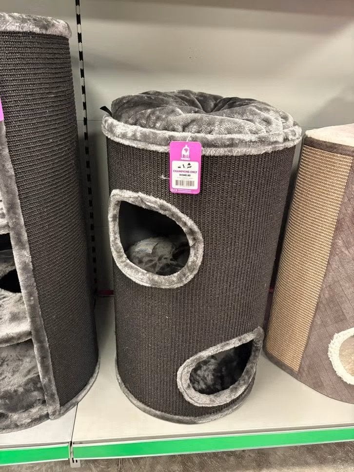 Krabton Petrebels Dome80 €169,-, Dieren en Toebehoren, Ophalen, Nieuw