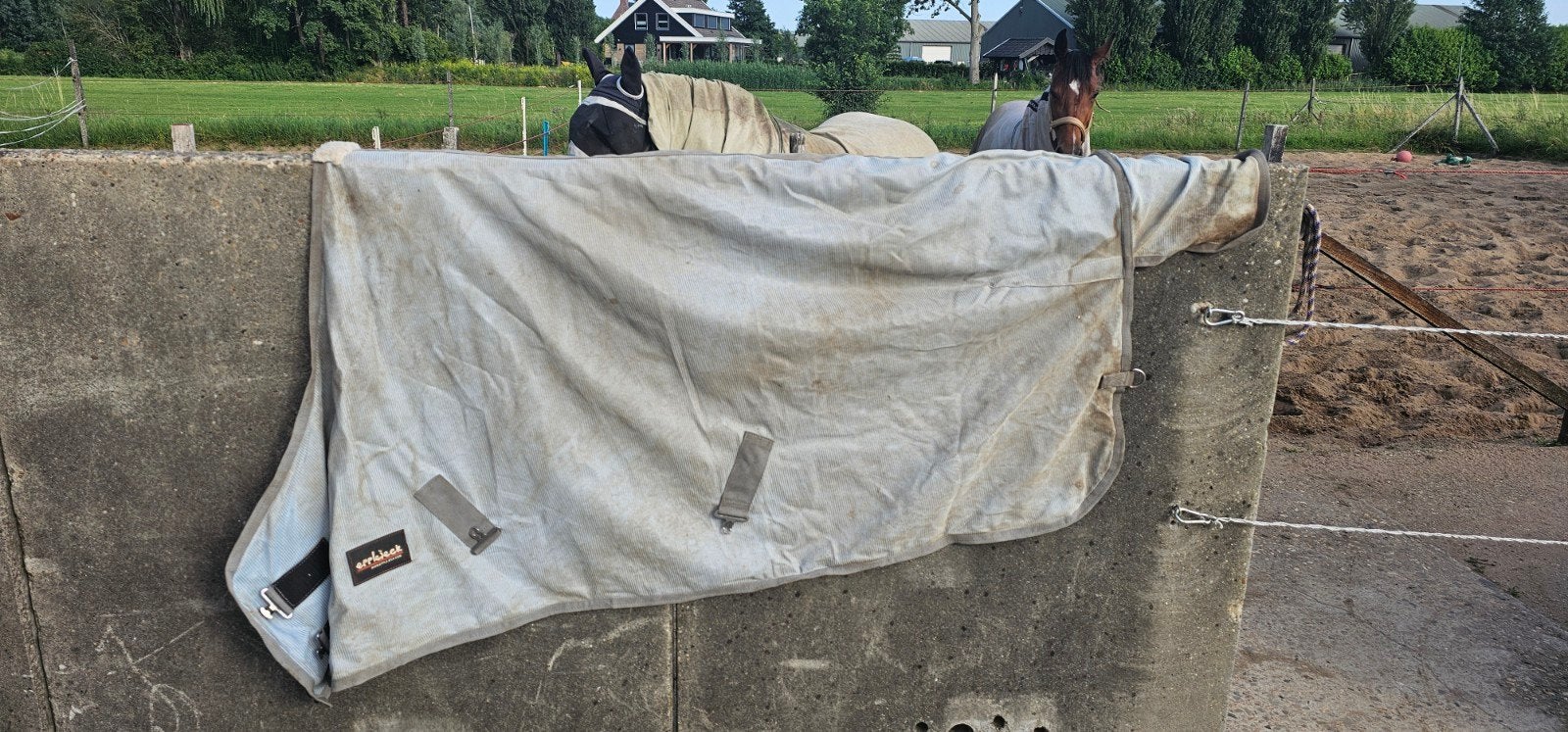 Epplejeck vliegendeken 165., Ophalen, Zo goed als nieuw, Epplejeck, Overige maten