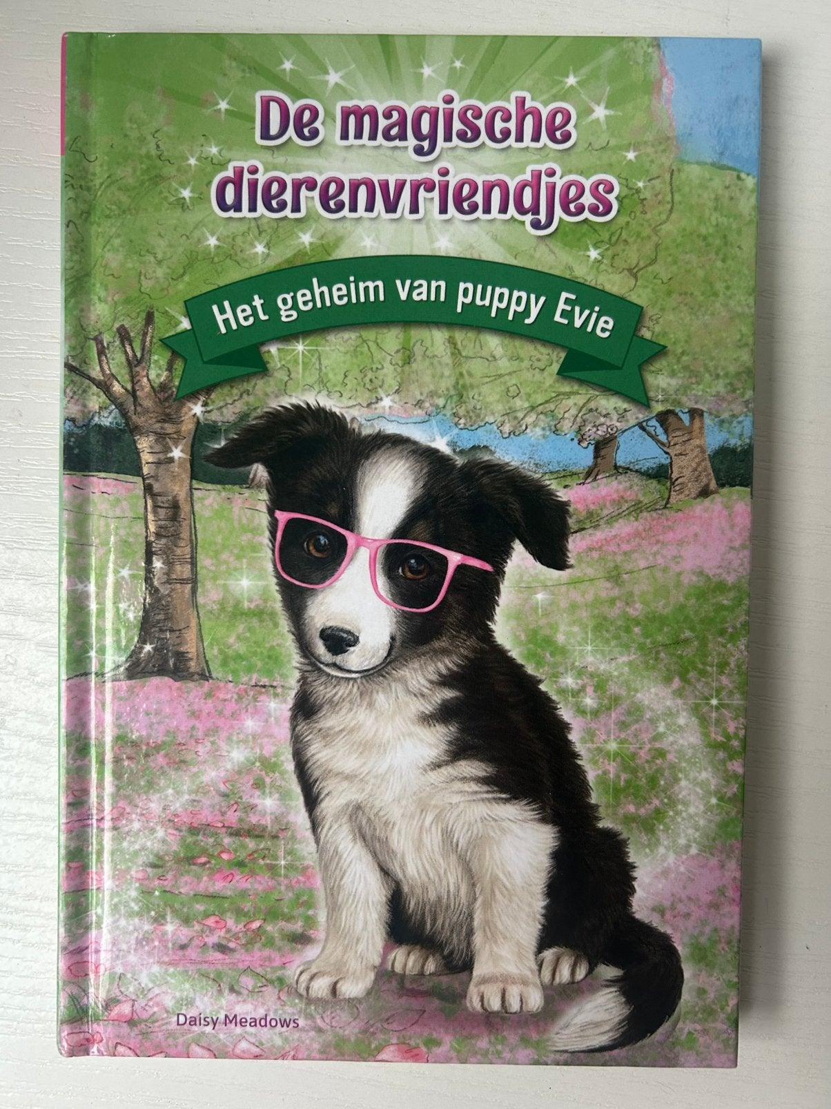 Het geheim van Puppy Evie Daisy Meadows, Boeken, Ophalen of Verzenden, Gelezen, Fictie algemeen