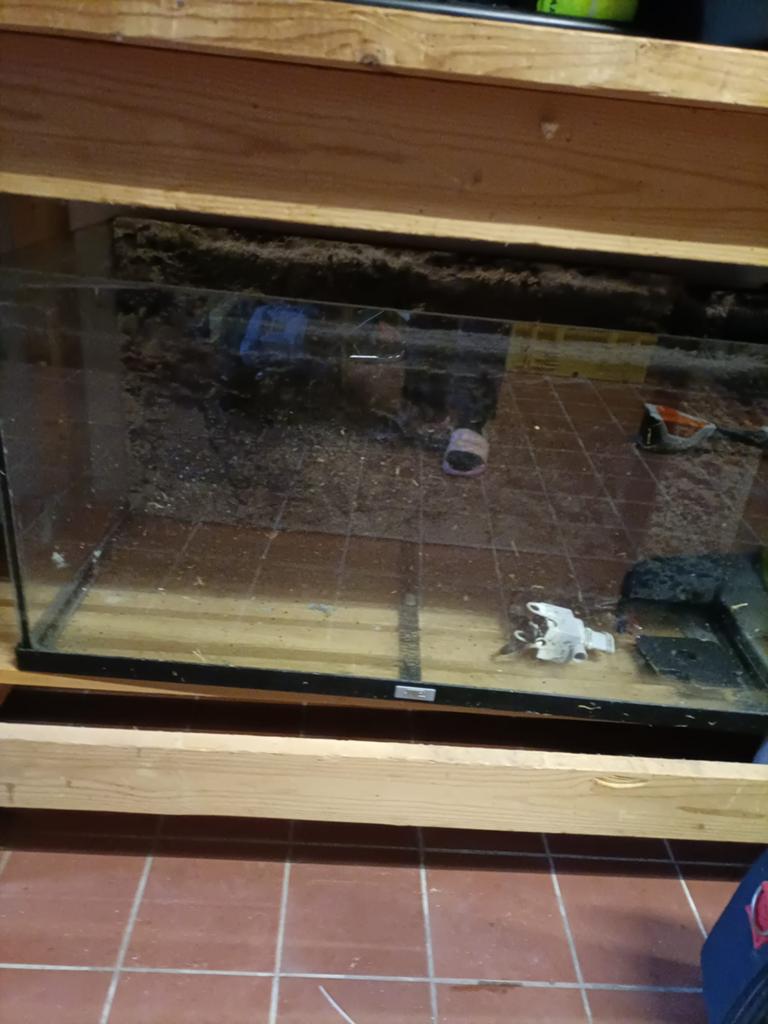 Aquarium, Ophalen, Zo goed als nieuw, Leeg aquarium