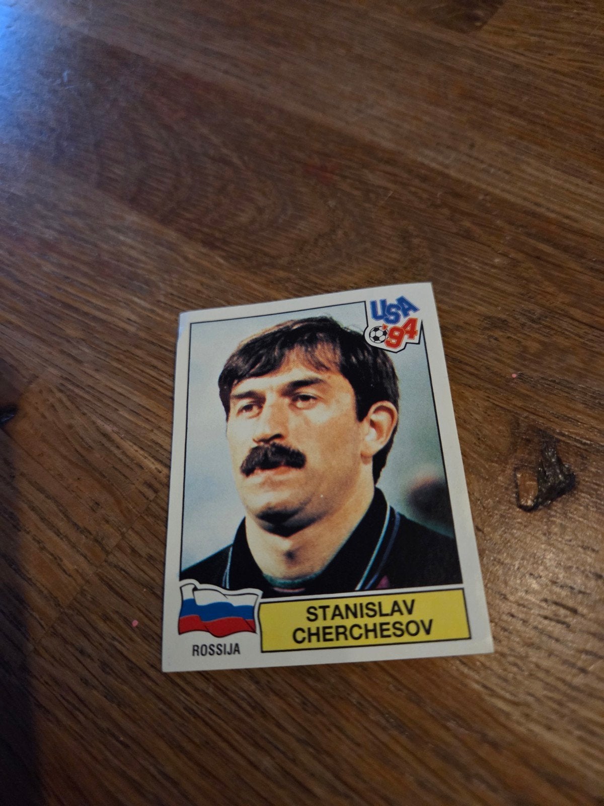 Panini WK 94, Ophalen of Verzenden, Zo goed als nieuw, Buitenlandse clubs, Poster, Plaatje of Sticker