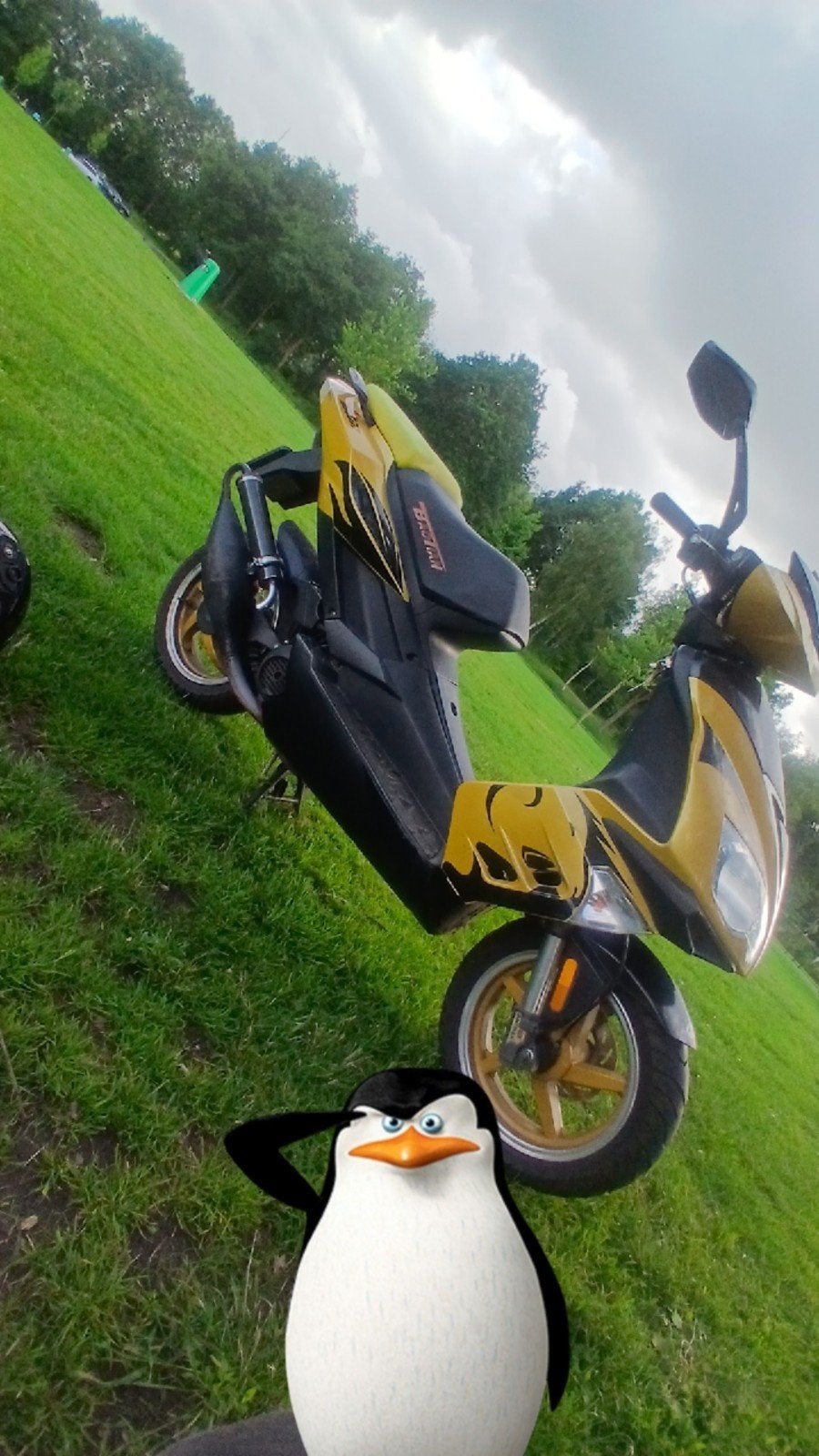 Boatian Tiger 50cc 4-takt scooter - Perfect voor woon-werk, Fietsen en Brommers, Snorfietsen en Snorscooters, Ophalen, Benzine