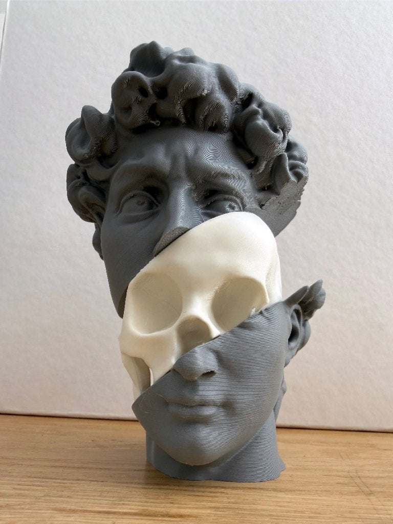 David schedel sculptuur - Uniek 3D geprint kunstwerk modern, Verzenden, Nieuw, Mens