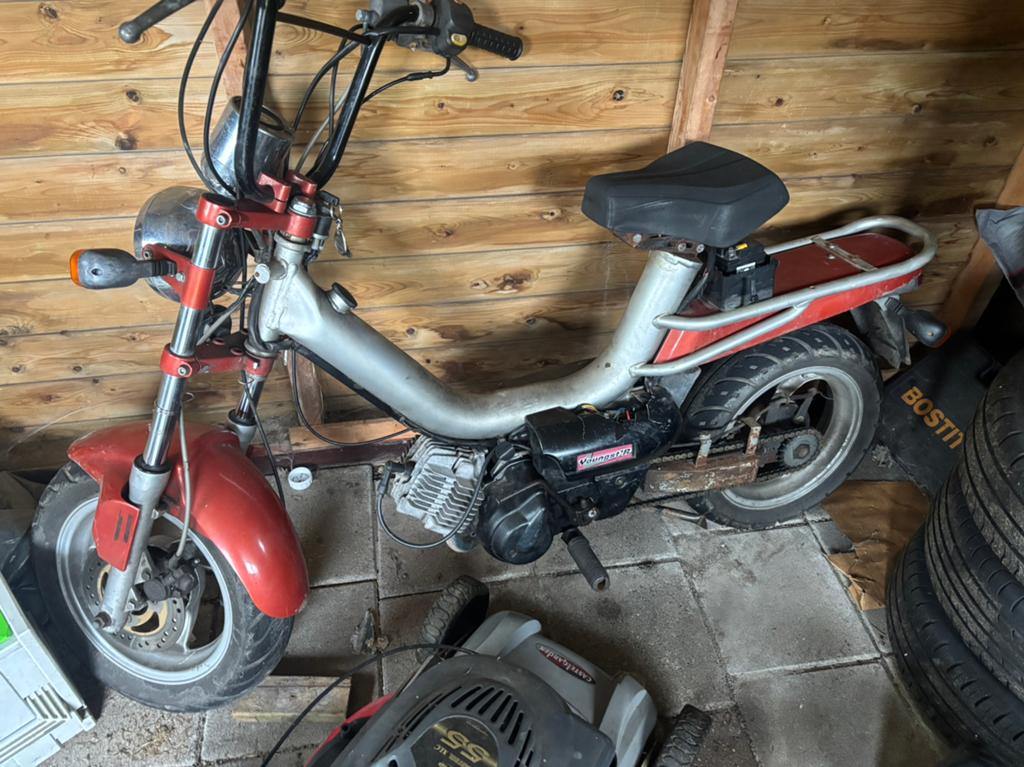 Tomos youngster, Ophalen, Gebruikt, Standard