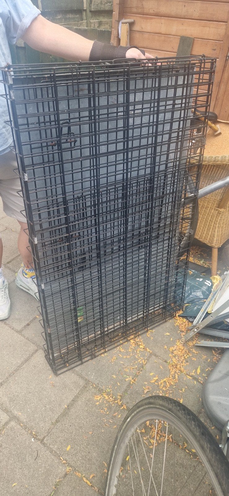 honden benz, Dieren en Toebehoren, Ophalen