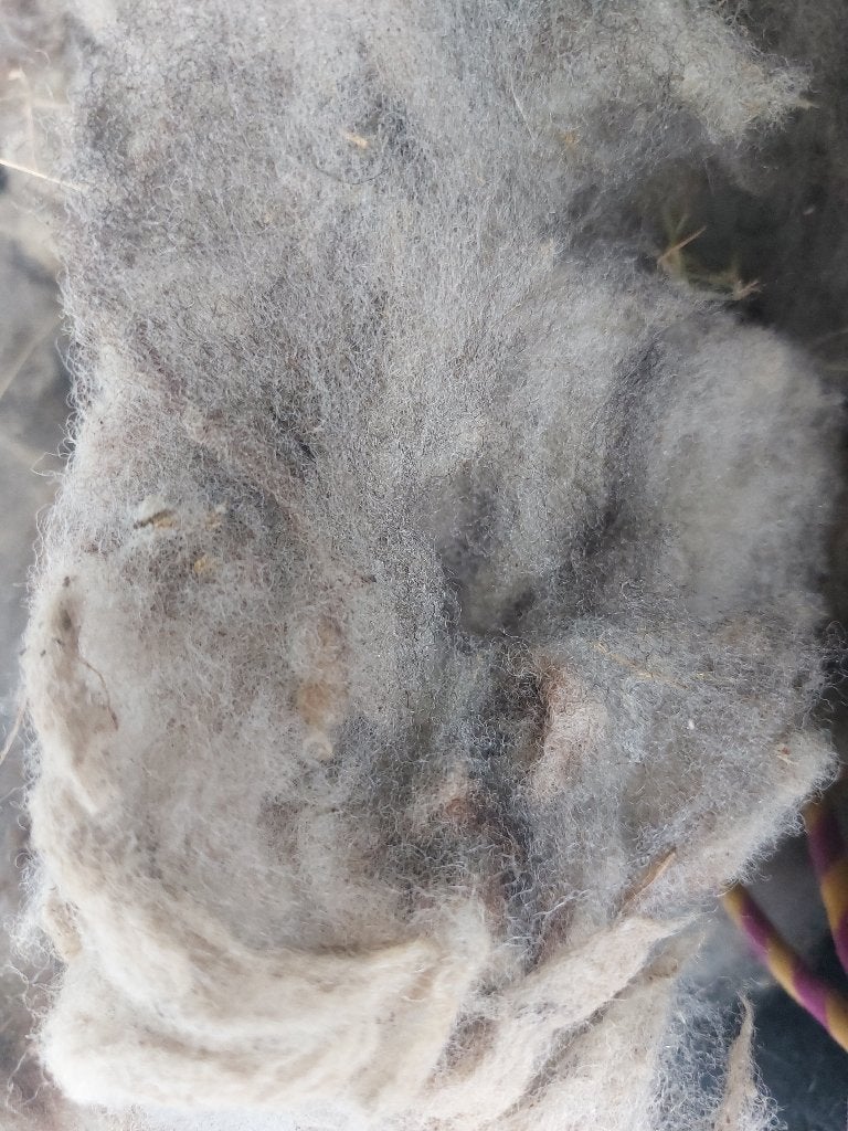Schapen wol, Hobby en Vrije tijd, Spinnewielen en Spinnen, Ophalen of Verzenden, Zo goed als nieuw, Spinwol
