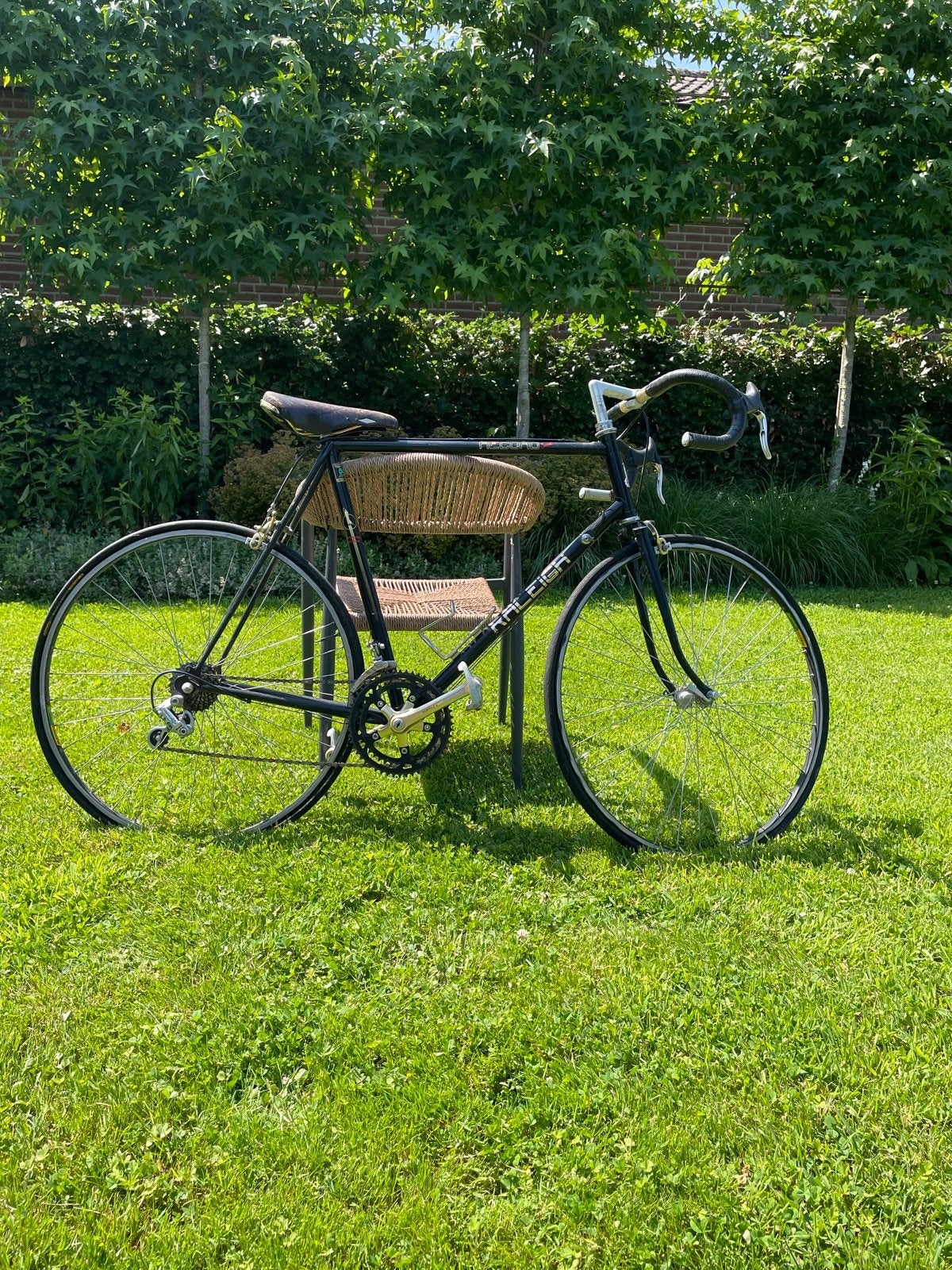 Raleigh Vintage Racefiets - Klassieke Stijl, 28 inch, Gebruikt, 53 tot 57 cm, Ophalen