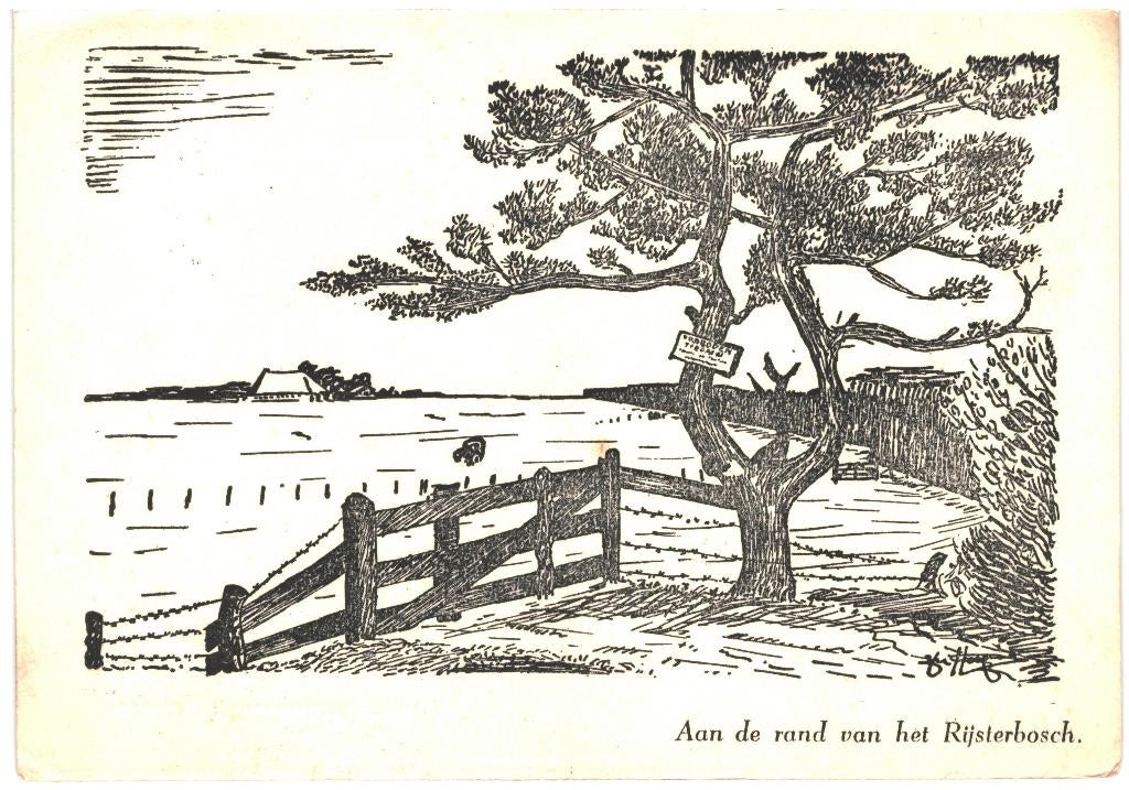 991433 Rijs Gaasterland Friesland 1945 Gelopen met postzegel