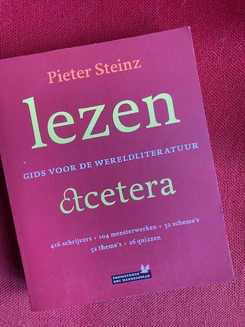 lezen etcetera - Pieter Steinz, Boeken, Ophalen of Verzenden, Zo goed als nieuw, Pieter steinz