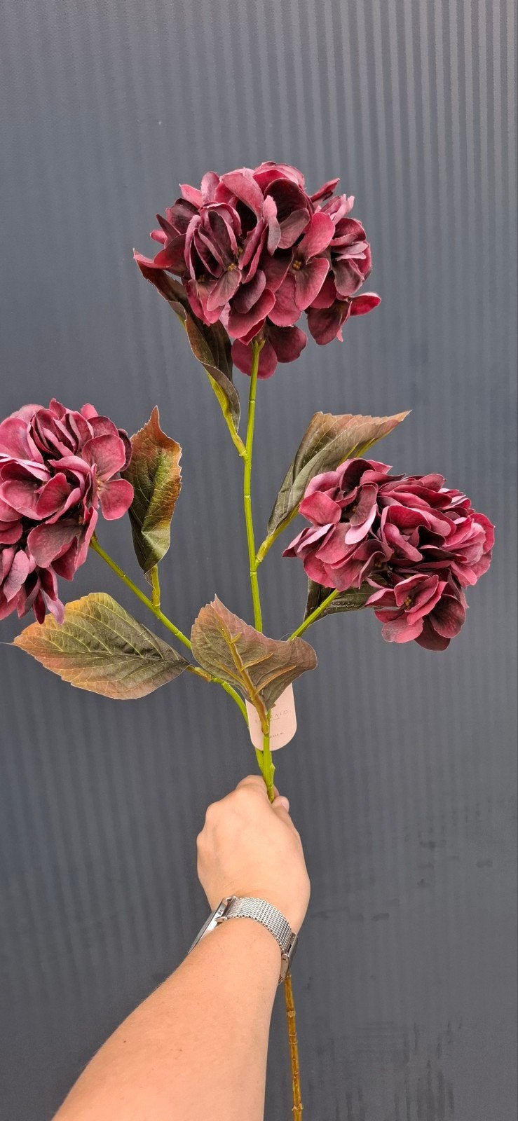 Zijden Hortensia Burgundy en Beige, Binnen, Kunstbloem, Nieuw, Emerald Eternal Green